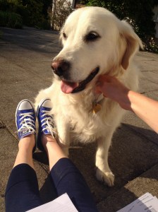 Study in the garden.2